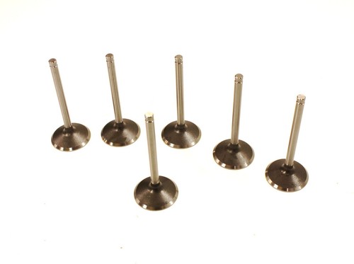 Set inlet valves - of, jaguar