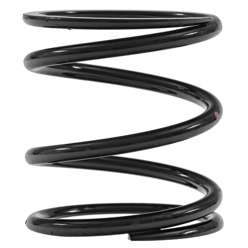 Gearbox mount spring jaguar - gearbox,
